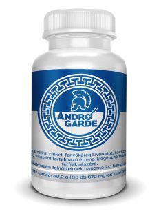 ANDRO GARDE POTENTIAL ENHANCEMENT CAPSULES - 60 PCS