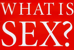 Mi az a szexualitás és mit érdemes tudni róla? 